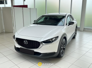 foto standard