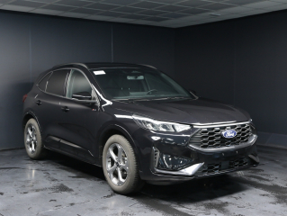 foto standard