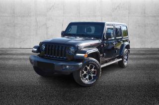 JEEP Wrangler Unlimited 2.0 Turbo Rubicon
